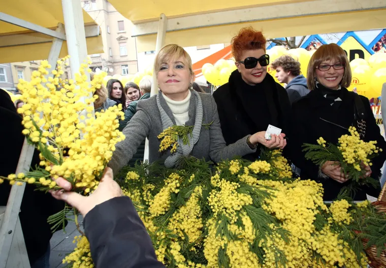Glumci, pjevači i političari prodajom mimoza prikupljali novac za oboljele od raka dojke
