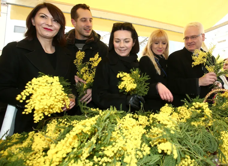 Glumci, pjevači i političari prodajom mimoza prikupljali novac za oboljele od raka dojke