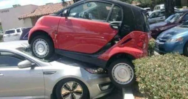 Ako mislite da imate loš dan, dovoljno je da pogledate ove siromahe...