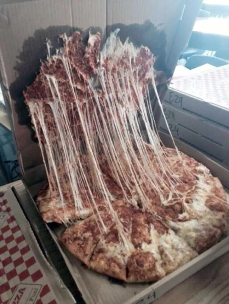 Ako mislite da imate loš dan, dovoljno je da pogledate ove siromahe...