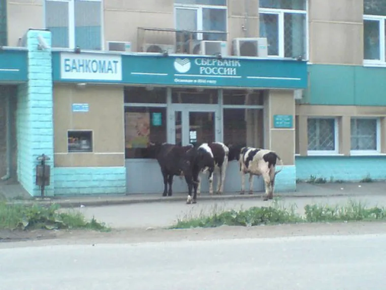 Novi postapokaliptični film u režiji... a ne, to su samo prizori iz Rusije