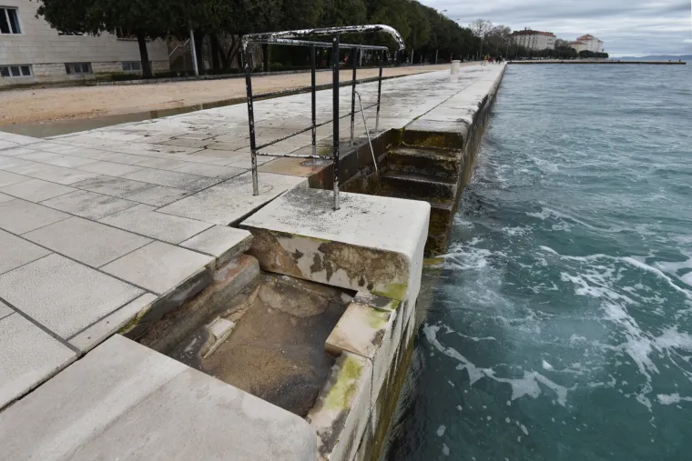 Jugo o&scaron;tetilo morske orgulje