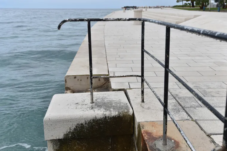 Jugo o&scaron;tetilo morske orgulje