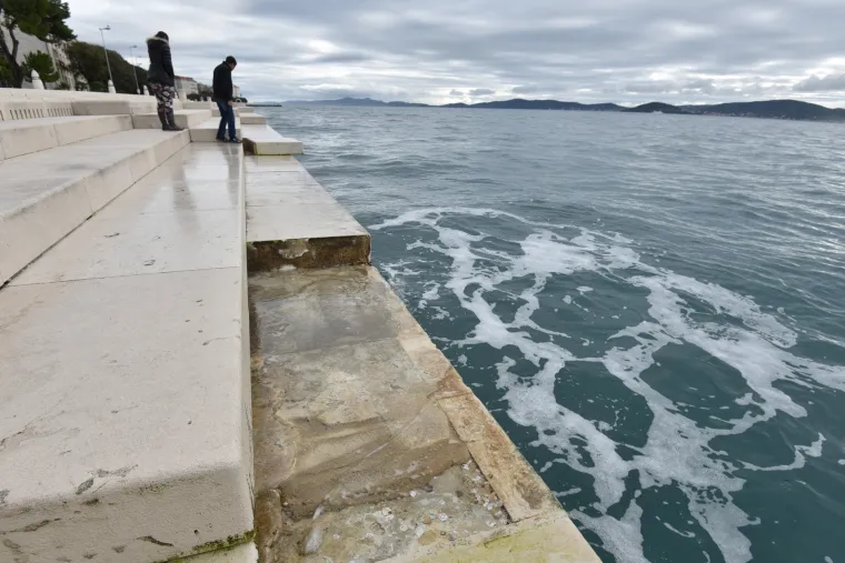 Jugo o&scaron;tetilo morske orgulje
