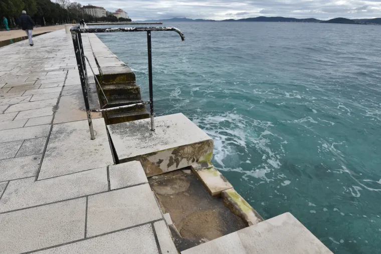 Jugo o&scaron;tetilo morske orgulje