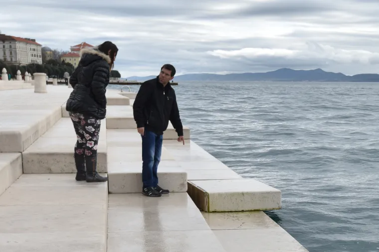 Jugo o&scaron;tetilo morske orgulje