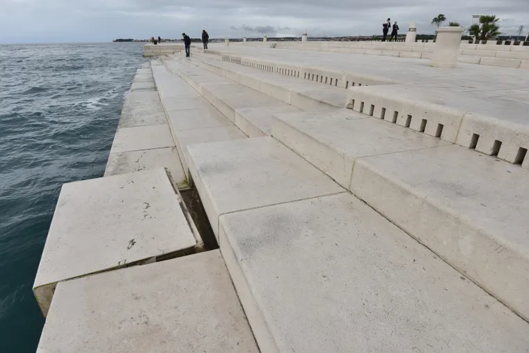 Jugo o&scaron;tetilo morske orgulje