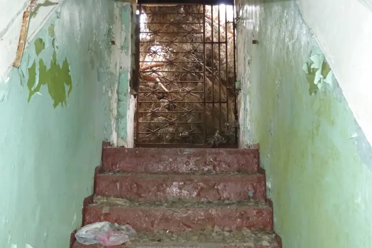 Pogleda na ulaz iz unutra&scaron;njosti