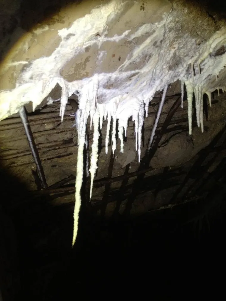 Naslage minerala su posljednja slika koju su uspjeli uslikati prije nego &scaron;to je u fotiću nestalo baterije. Jo&scaron; uvijek ne znaju &scaron;to su točno prona&scaron;li, novjerojatno je riječ o nekom obliku skloni&scaron;ta.
