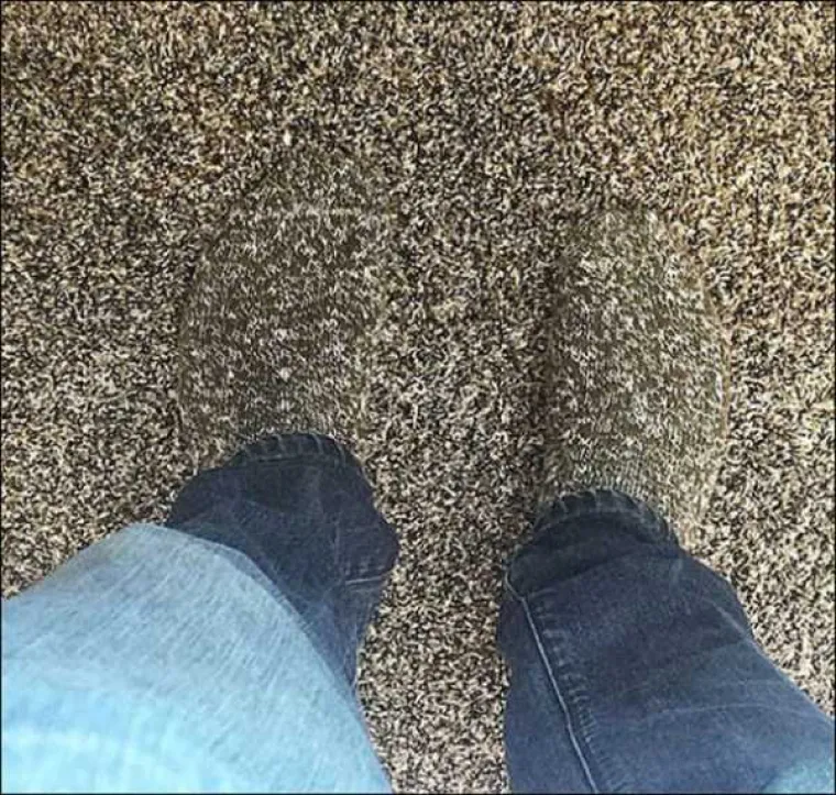 Trebaju li se sramiti ili ponositi? Ljudi koji zbog odabira odjeće izgledaju kao tapete, stolnjaci, tepisi...