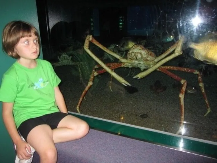 Možda vam treba odlazak u akvarij, tko ne voli izlete u akvarij?!