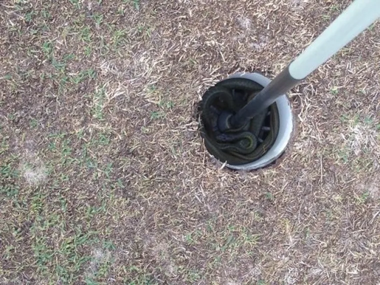 A da se opustite uz golf?