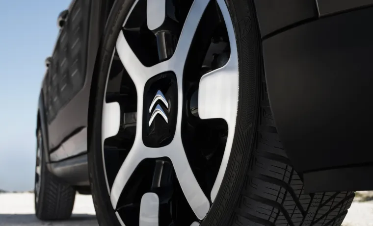 CITRO&Euml;N "NA VALOVIMA": Pogledajte kako izgleda C4 Cactus Rip Curl