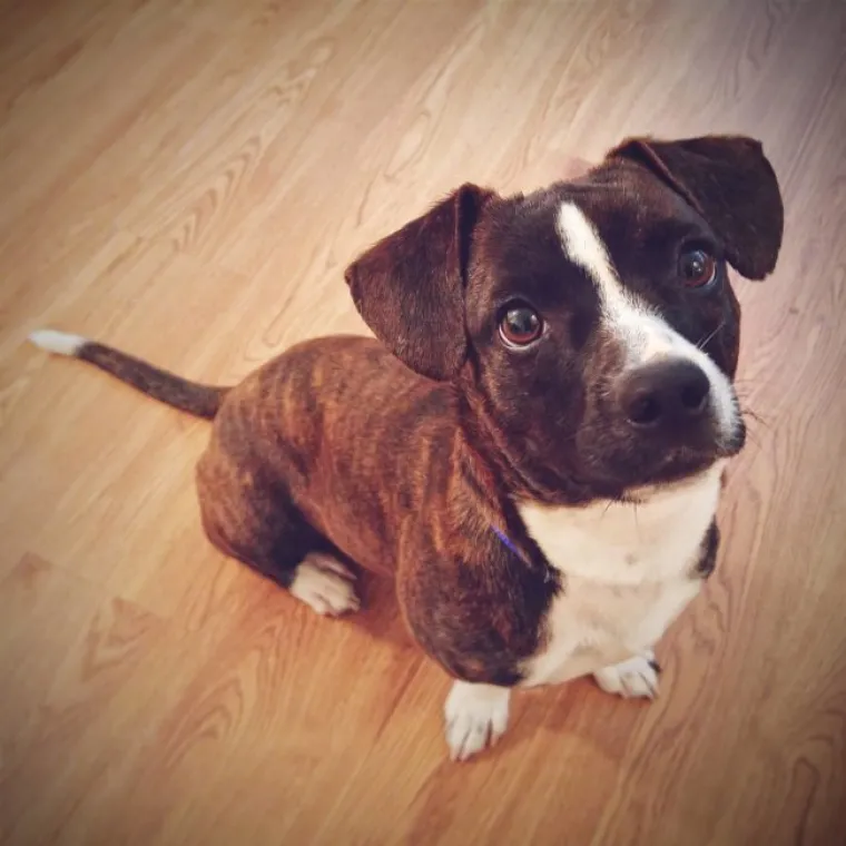 I bez obzira koliko mladi...