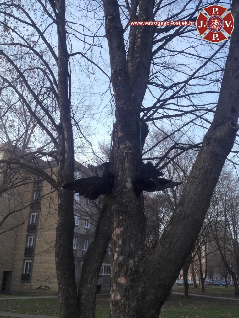 Osim stambenih zgrada, u blizini ove morbidne 'instalacije' nalaze se dječji vrtić te osnovna škola.