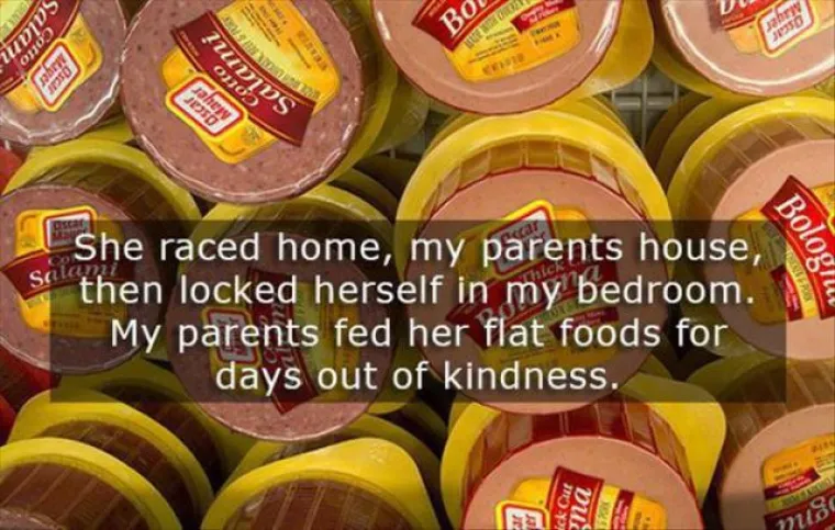 "Otrčala je doma, u kuću mojih roditelja i zaključala se u kupaonicu. Roditelji su bili dovoljno ljubazni da je danima uzdržavaju mačjom hranom."