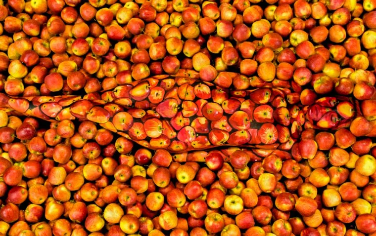 Možete li na slikama naći gole modele? Ako uspijete, to vam je ujedno i nagrada