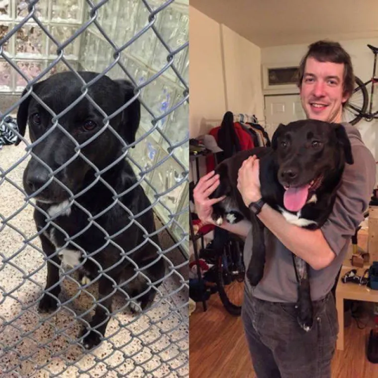 NAJGORE I NAJBOLJE OD LJUDI: Manijaci skoro ubili ljubimce, dobrotvori im promijenili život