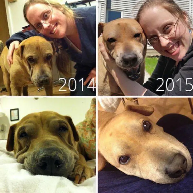 NAJGORE I NAJBOLJE OD LJUDI: Manijaci skoro ubili ljubimce, dobrotvori im promijenili život