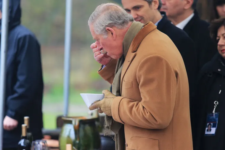 Princ uživao u ljepotama Kopačkog rita, a još više u ribljem paprikašu
