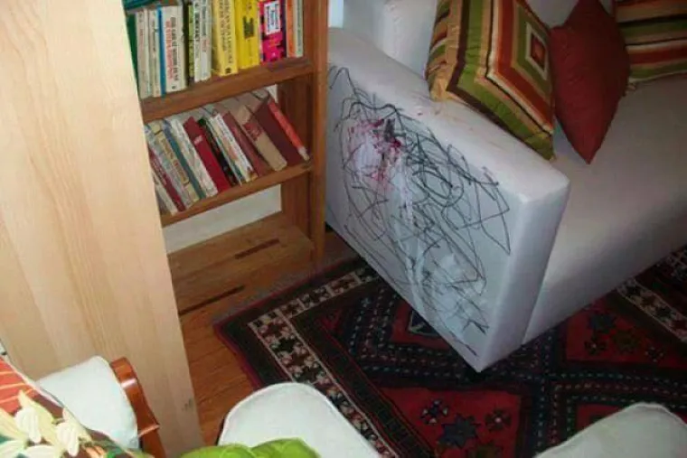 DJECA ILI ŽIVOTINJE: Tko može napraviti veći nered i kome biste lak&scaron;e oprostili?