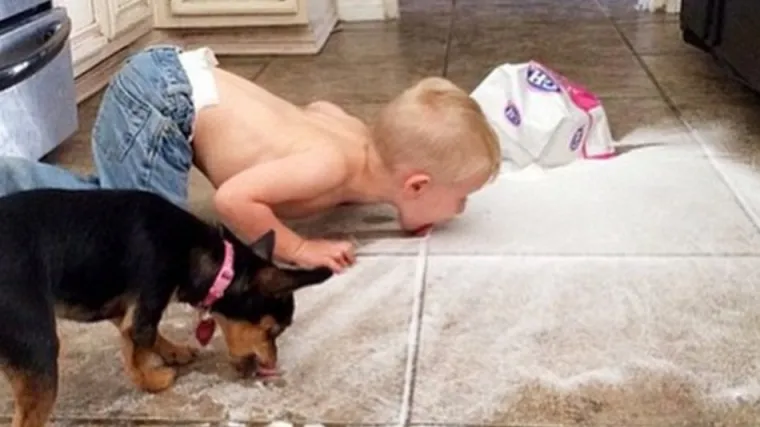 Instagram 'Djeca su najgora' je prikupio fotografije najgorih dječjih nepodop&scaron;tina