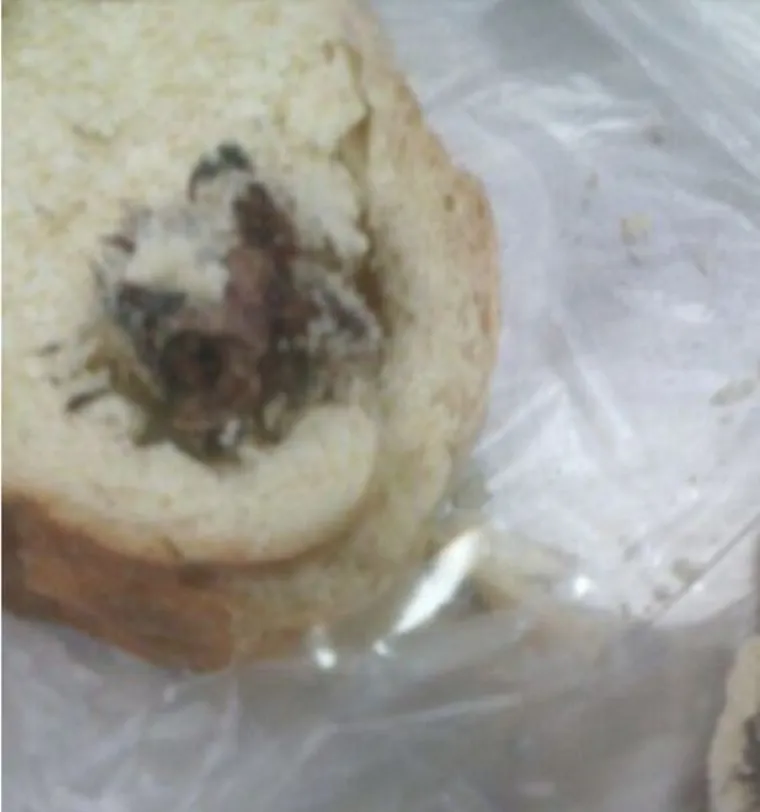 Mrtvi štakor u kruhu.