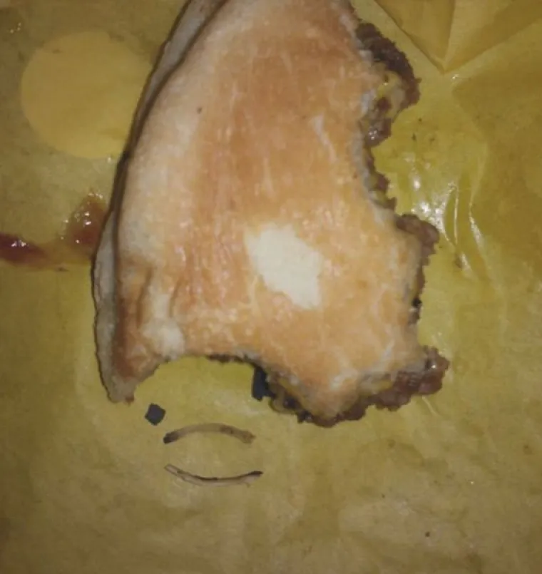 Sitna rebarca u burgeru sigurno nisu juneća