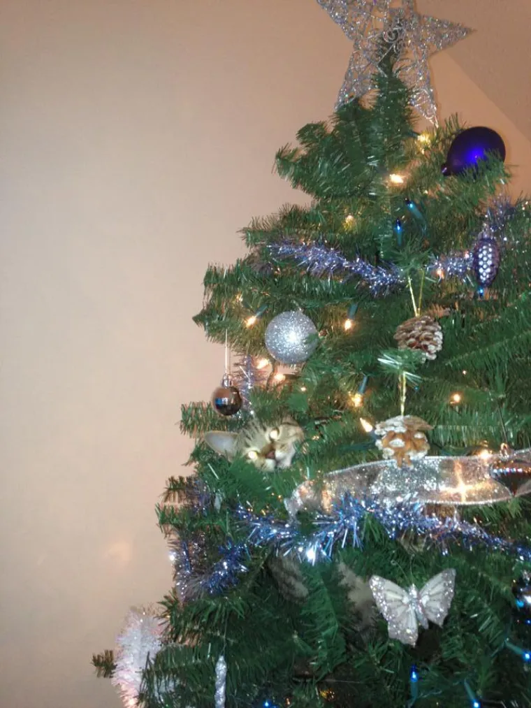 TESTIRAJTE MOZAK I VID: Poku&scaron;ajte uočiti bizarne detalje na svakoj slici i izo&scaron;trite percepciju