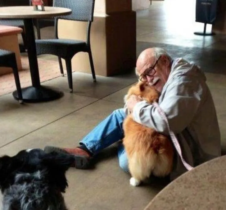 ZARAZITE SE NJIHOVOM SREĆOM! Dopustite da vam njihov osmijeh popravi dan