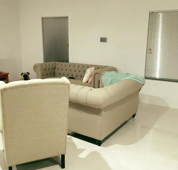 UHODI JE I DOK JE GOLA POD TU&Scaron;EM: Ovo je najjeziviji, a ujedno i najslađi pas na svijetu