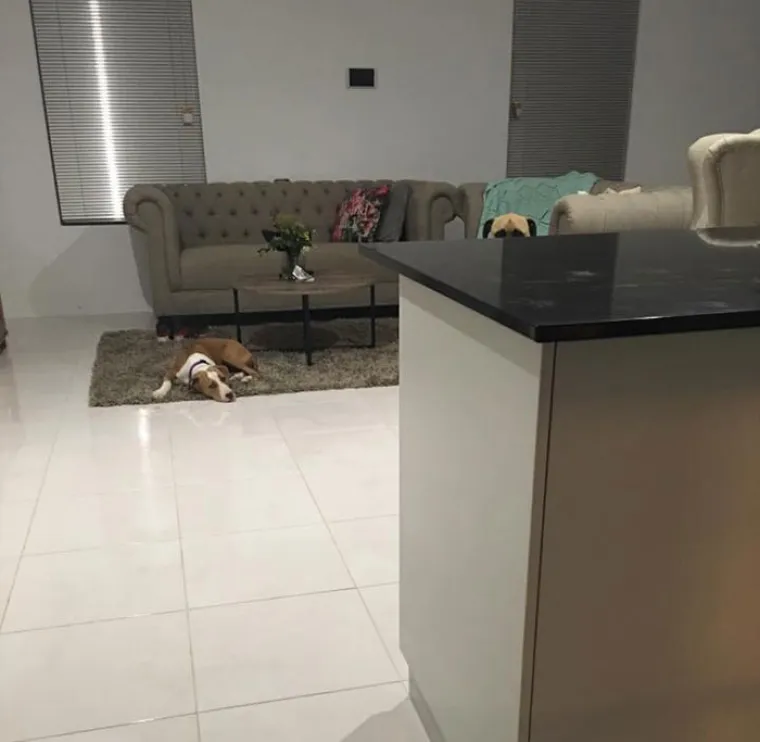 "Osim &scaron;to me &scaron;pijunira, Cyrus i spa&scaron;ava živote" ističe Lauren.