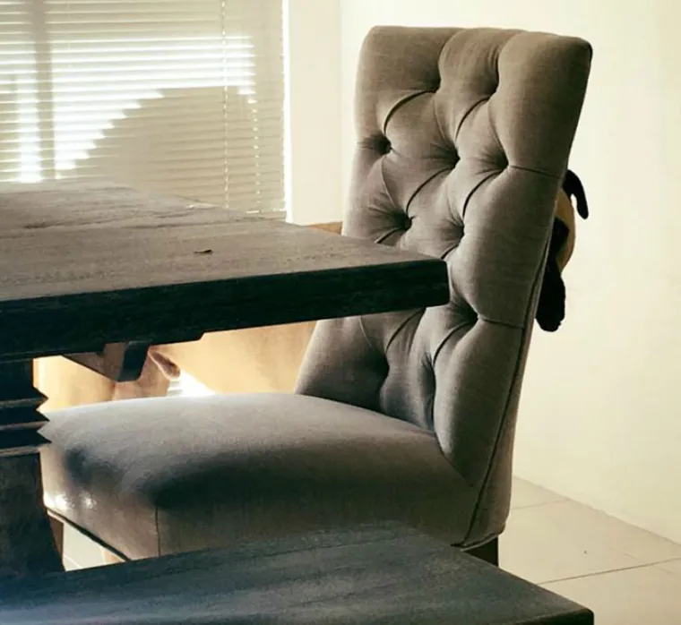 "Mislim da ne pu&scaron;ta s oka jer želi znati gdje sam i &scaron;to radim. I to cijelo vrijeme", kaže njegova vlasnica Lauren Birney.