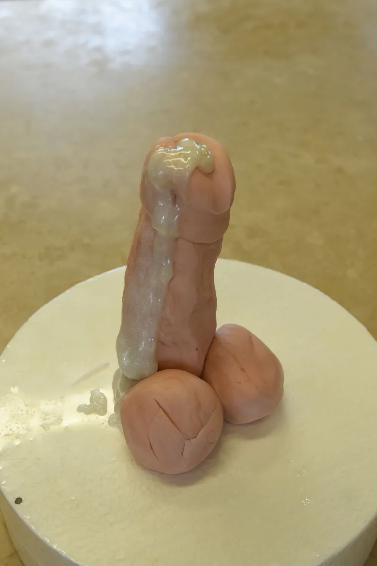 Slastičarna Antica specijalizirala se za izradu torti ukra&scaron;enih penisima