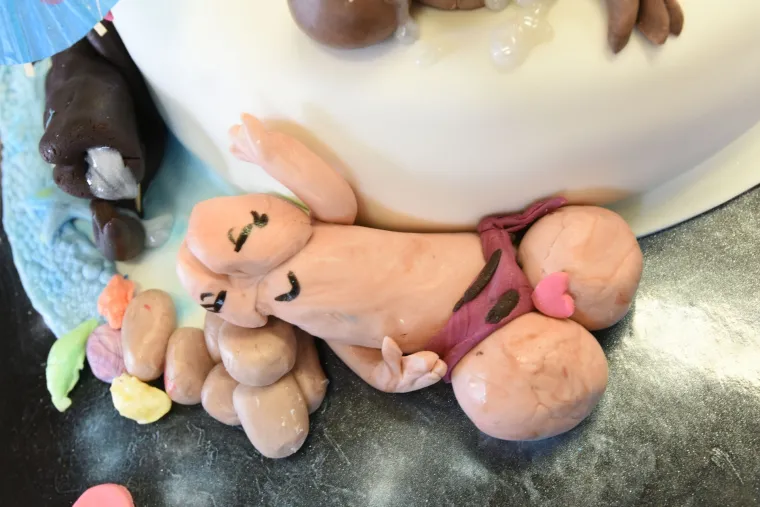 Slastičarna Antica specijalizirala se za izradu torti ukra&scaron;enih penisima
