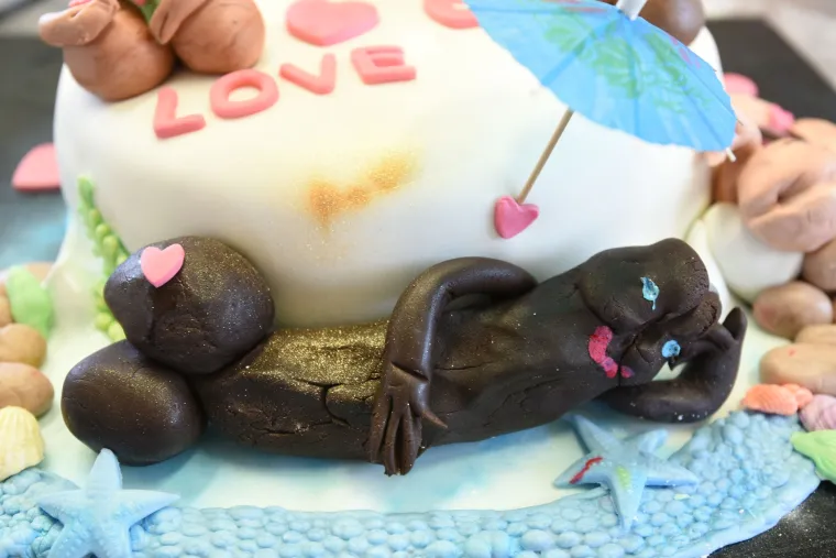 Slastičarna Antica specijalizirala se za izradu torti ukra&scaron;enih penisima