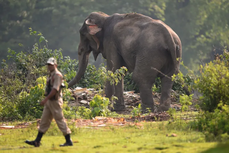 Princ William, Kate Middleton