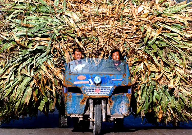 PRKOSE ZAKONIMA FIZIKE: Ovi ljudi tegle puno vi&scaron;e tereta nego &scaron;to mogu podnijeti
