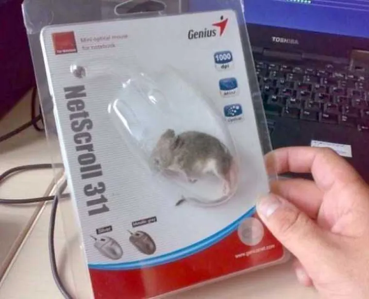 KINESKA KVALITETA: Ako vam o njihovim proizvodima ovisi život, lo&scaron;e vam se pi&scaron;e