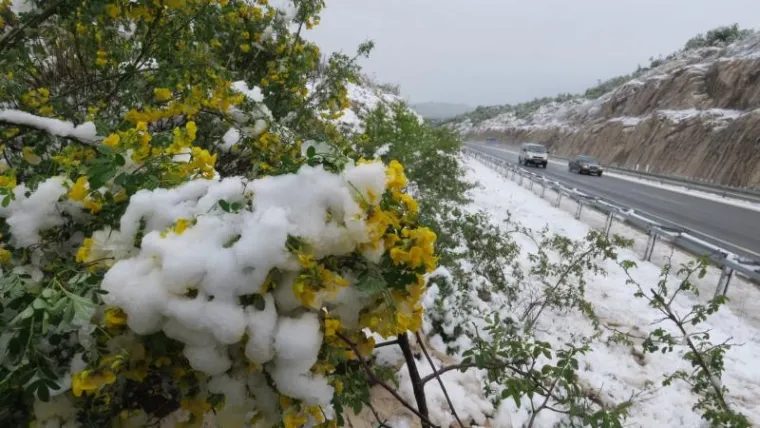 SNIJEG IZNENADIO VOZAČE: Zimske službe čiste autocestu A1