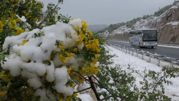 SNIJEG IZNENADIO VOZAČE: Zimske službe čiste autocestu A1