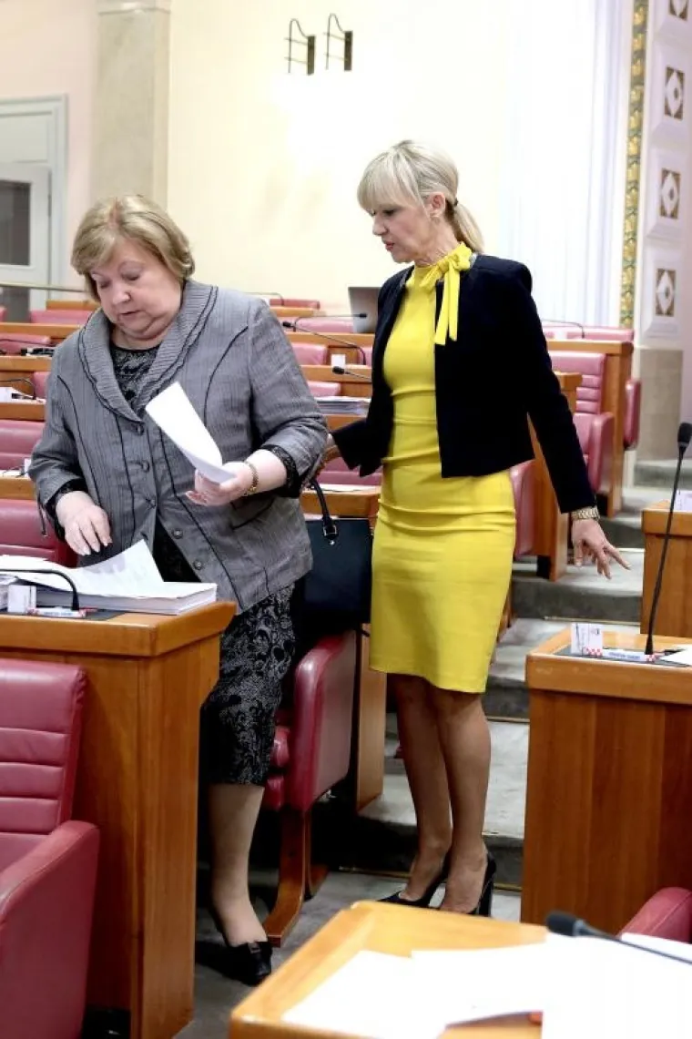 Nastavak sjednice Hrvatskog sabora obilježile su i neke zanimljive odjevne kombinacije. Tako je SDP-ova zastupnica Ingrid Antičević-Marinović sivilo kišnog petka razbila žutom Zarinom haljinom. Identičnu je nedavno nosila i slavna glumica Eva Longoria, a u Hrvatskoj haljina košta 449 kuna. U zlatnom ju je tonu pratio Mostov Miro Bulj, koji je na pozlaćenoj kopči za remen ponosno nosio – hrvatski grb.