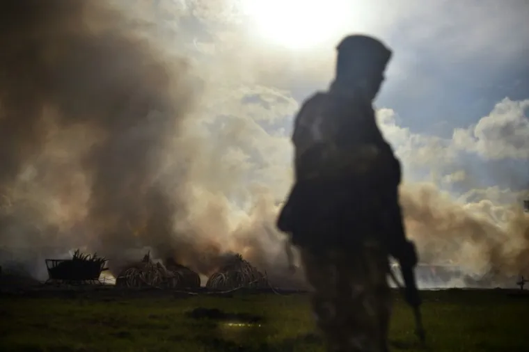LOMAČA ĆE GORJETI DANIMA: Pogledajte kako izgleda najveće spaljivanje slonovače u povijesti