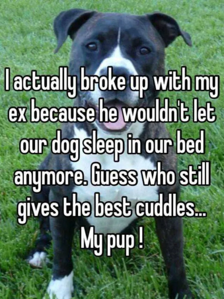 Nije vi&scaron;e dozvolio da pas spava s nama.