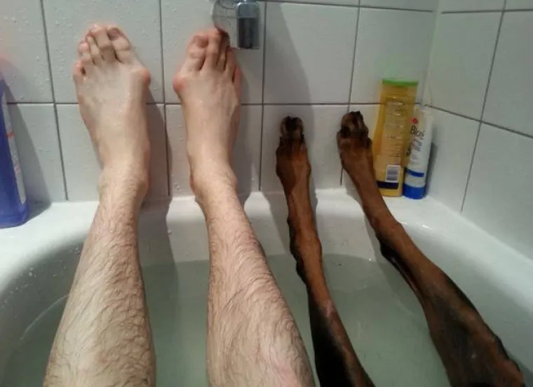 ZAHODSKA POSLA: Ljudi rade stvarno sva&scaron;ta u privatnosti svog doma, pogotovo u toaletu