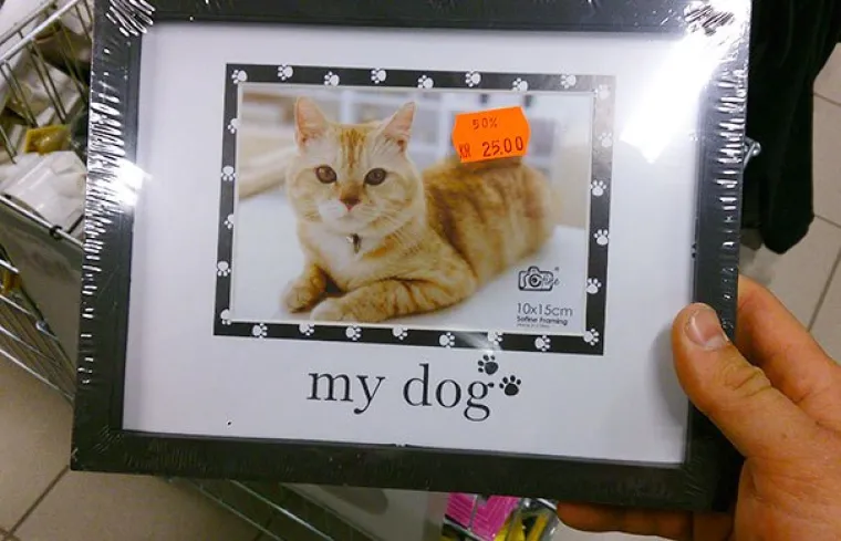 POKAŽITE ODMAH OVE SLIKE DJECI! Pripremite ih rano za sva životna razočaranja, bit će im lak&scaron;e u životu