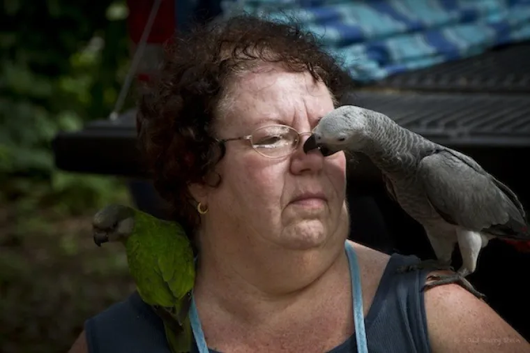 PTICE! Događa se ne&scaron;to stvarno čudno, ptice sve vi&scaron;e mrze ljudsku vrstu