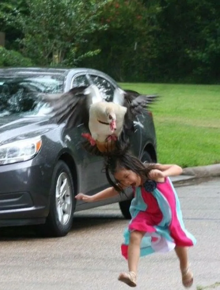 PTICE! Događa se ne&scaron;to stvarno čudno, ptice sve vi&scaron;e mrze ljudsku vrstu