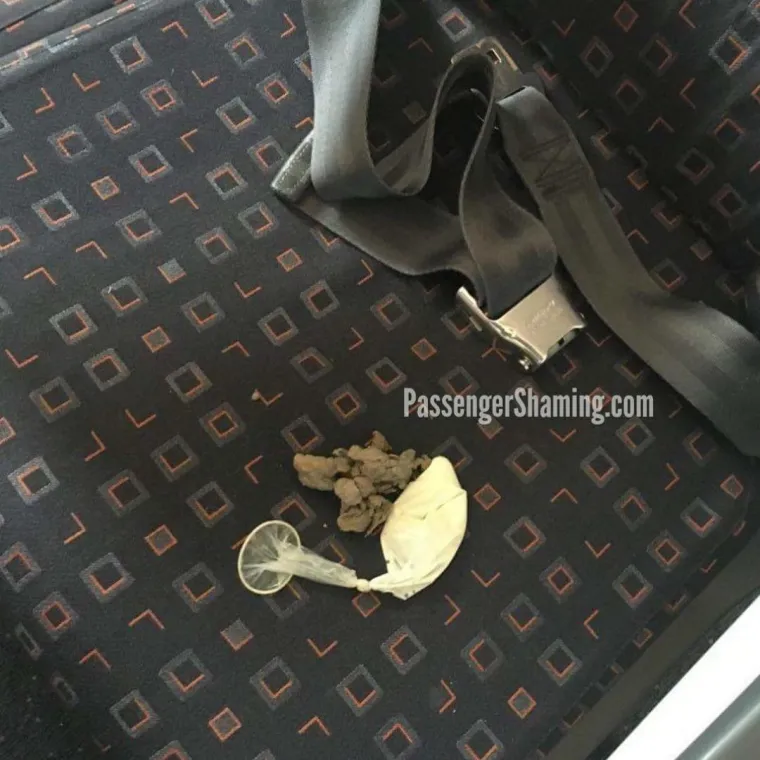 STJUARDESE PODIJELILE GNJUSNE PRIZORE: Zapele u avionu s odbojnim i nekulturnim stvorovima