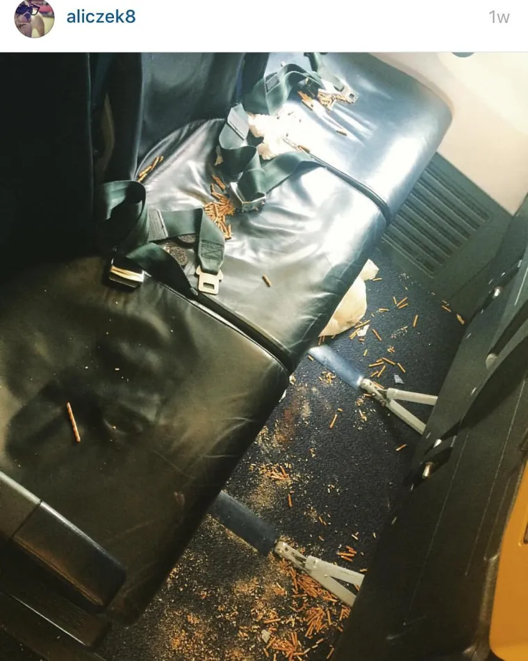 STJUARDESE PODIJELILE GNJUSNE PRIZORE: Zapele u avionu s odbojnim i nekulturnim stvorovima